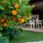 Bed and Breakfast Megna - Paradise Παλέρμο