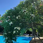 Megna - Paradise