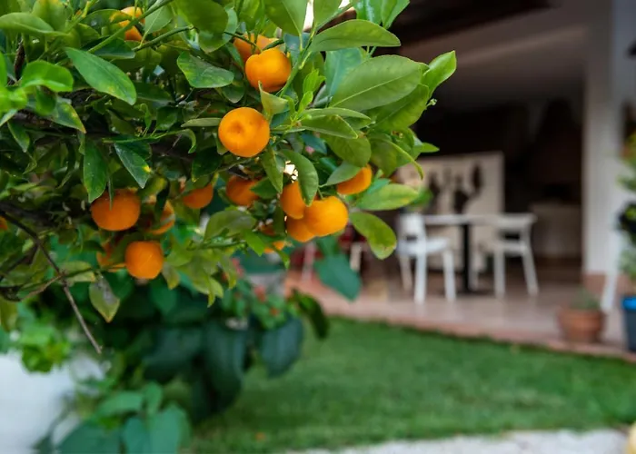 Bed & Breakfast Megna - Paradise Palermo
