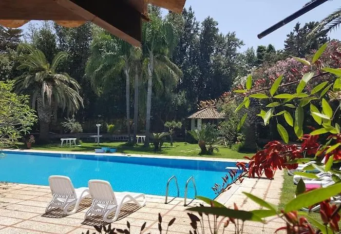 Megna - Paradise Palermo