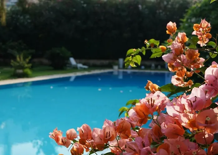 Megna - Paradise Bed & Breakfast