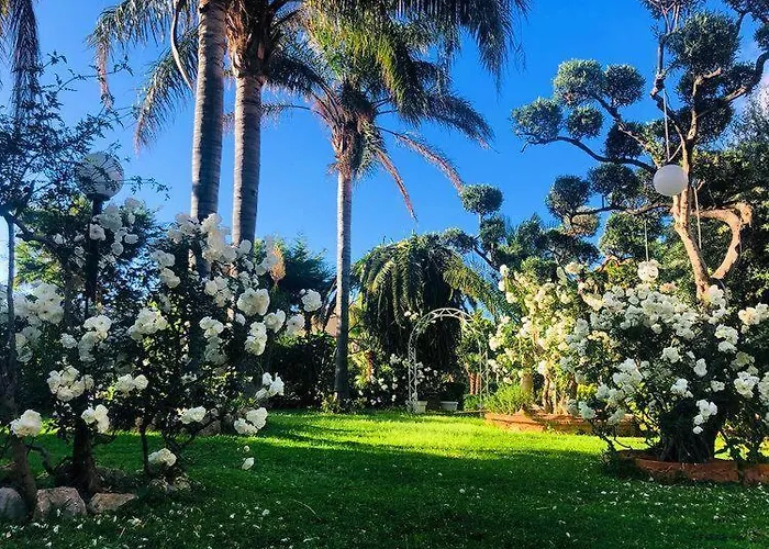 Bed & Breakfast Megna - Paradise Palermo