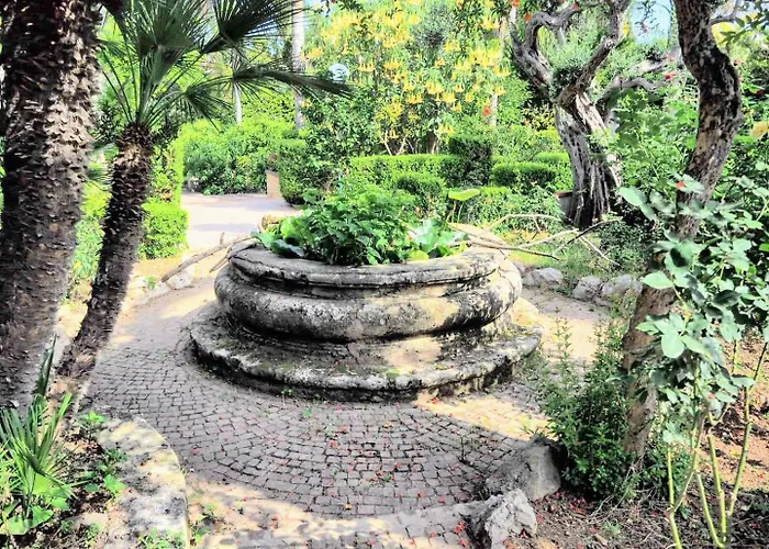 Megna - Paradise Palermo